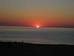 Late August Early Sept 2007 1126.jpg