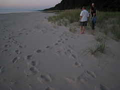 eric tracks