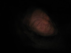 IMG_6277.JPG