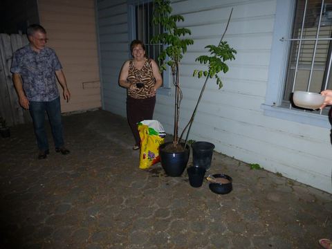 Wedding Week photograph 85