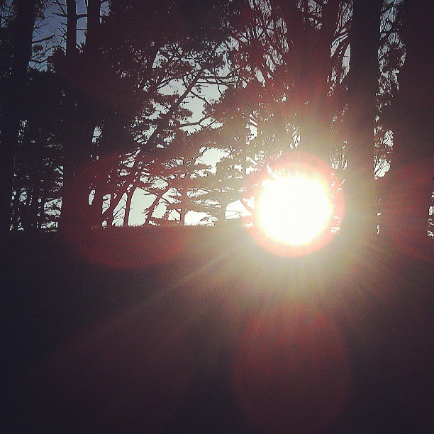 Posts from May 13, 2013