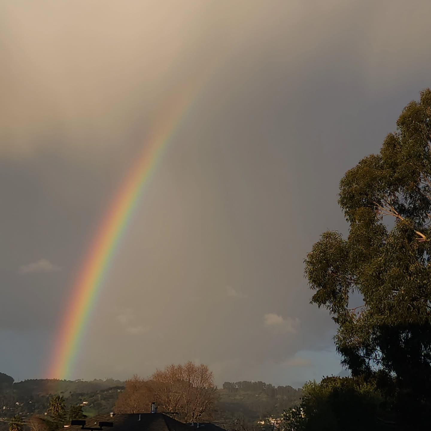Rainbow 🌈