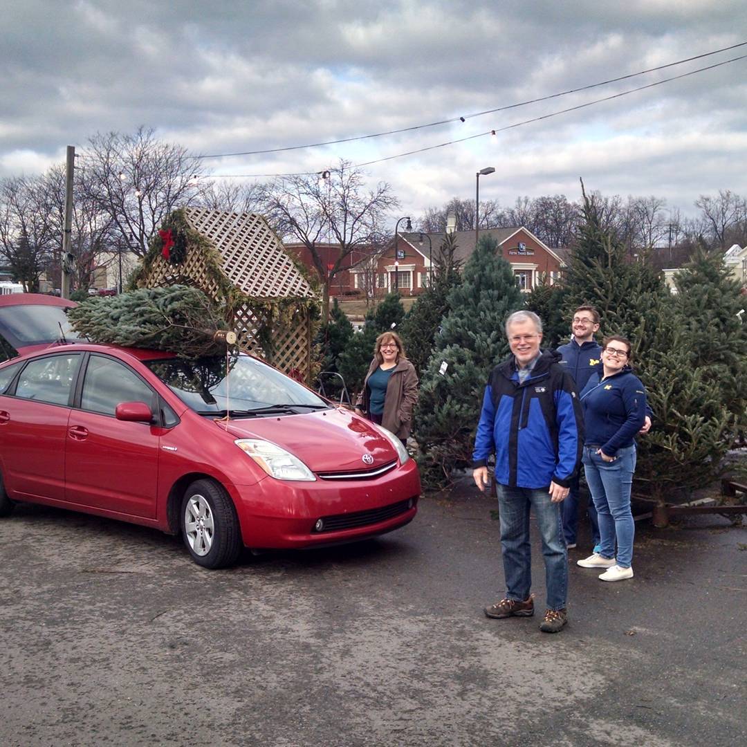 Tree time
