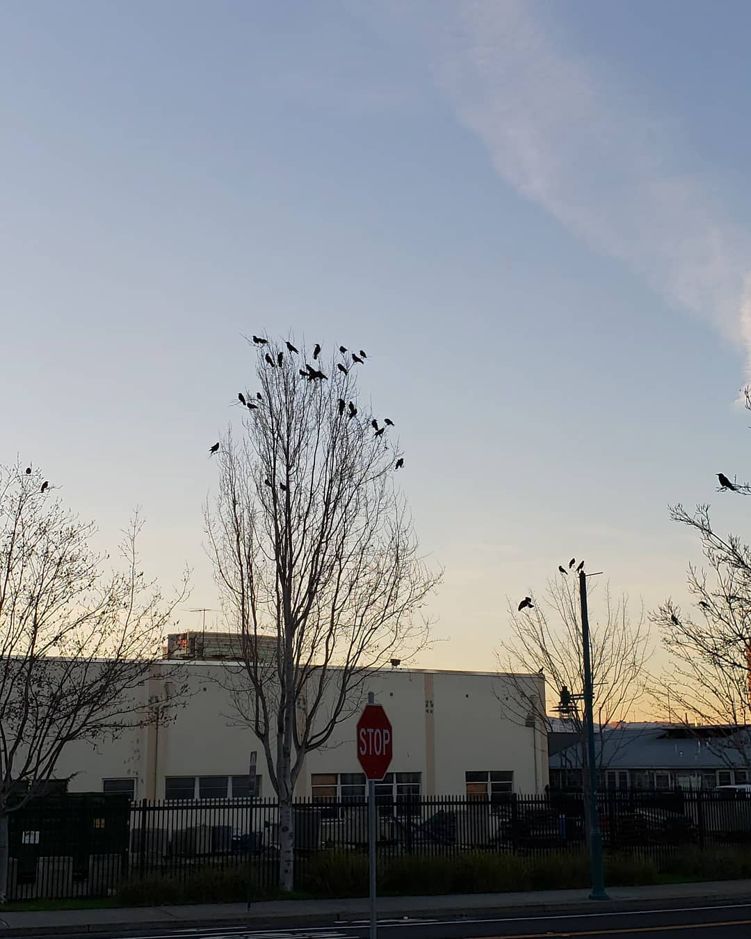 Posts from January 3, 2019