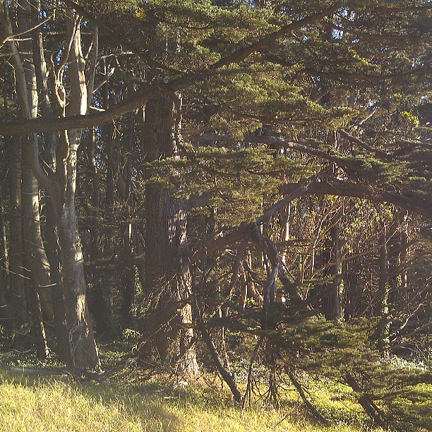 Posts from May 13, 2013