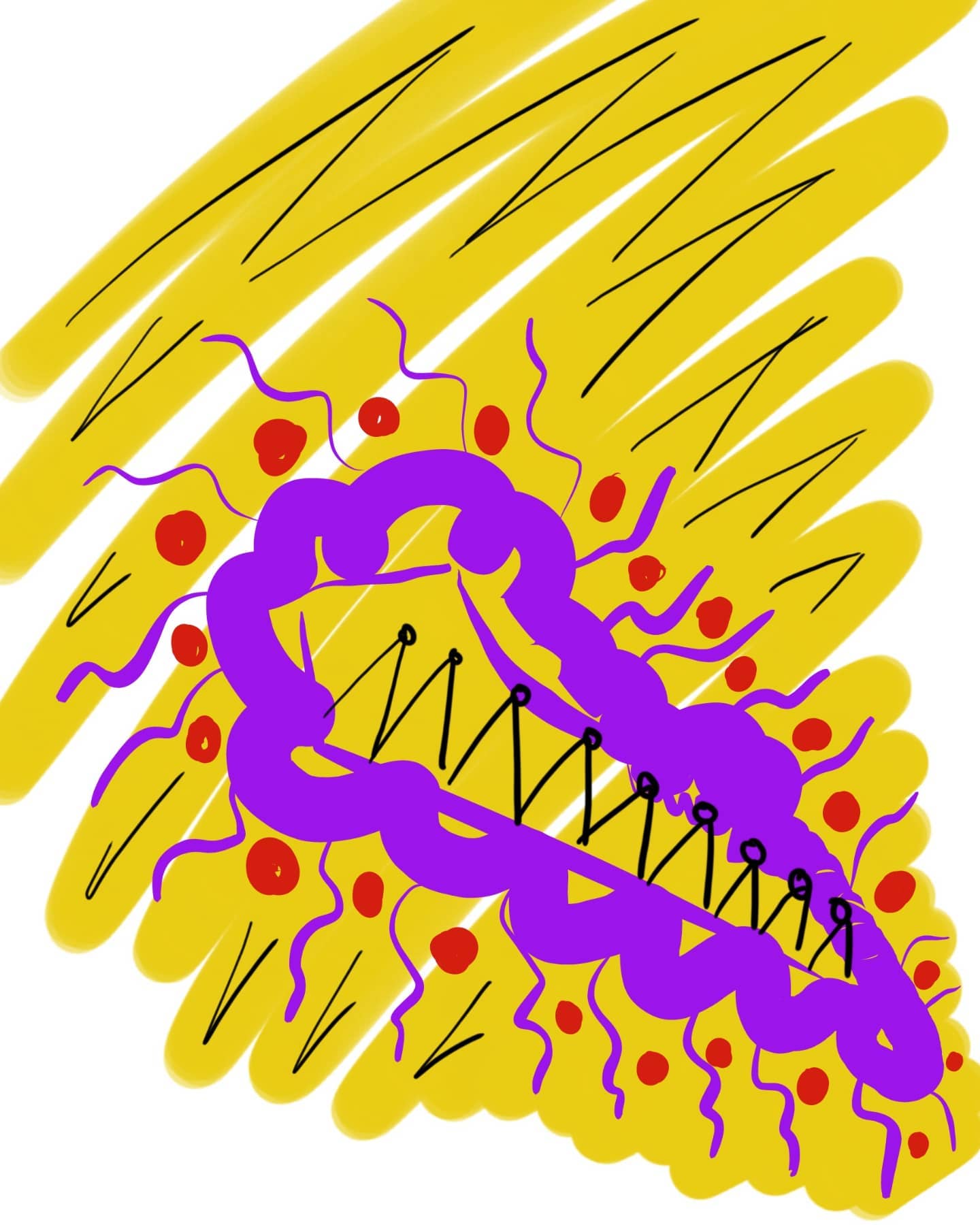 Posts from December 6, 2021