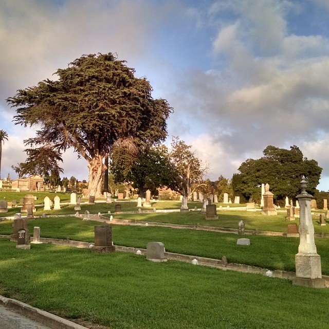 Posts from August 26, 2014