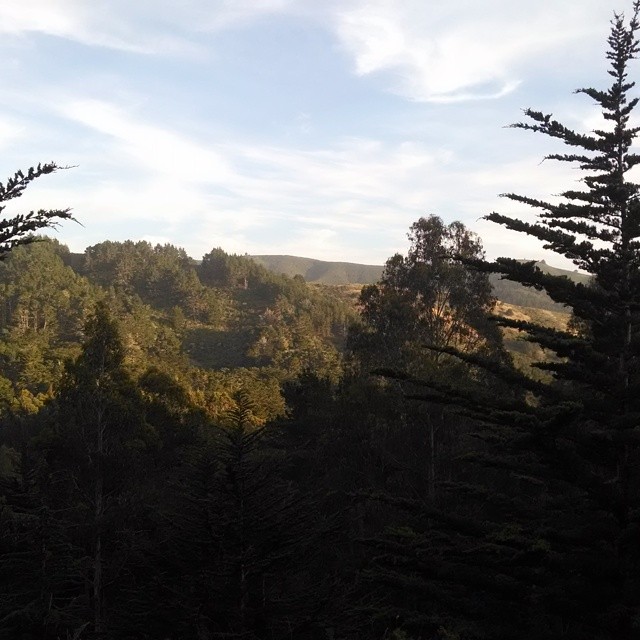 Posts from July 13, 2014