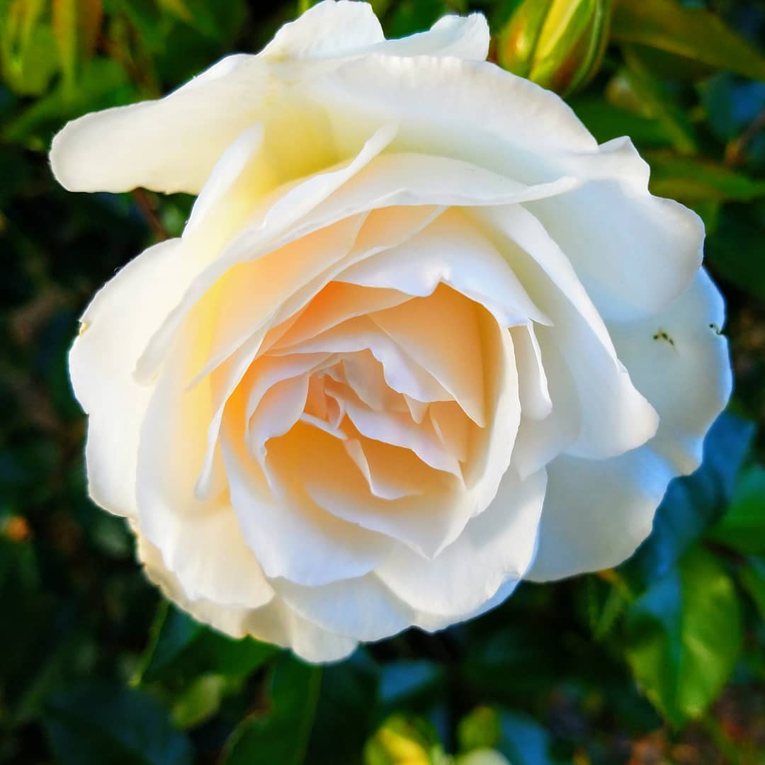 Posts from April 30, 2018