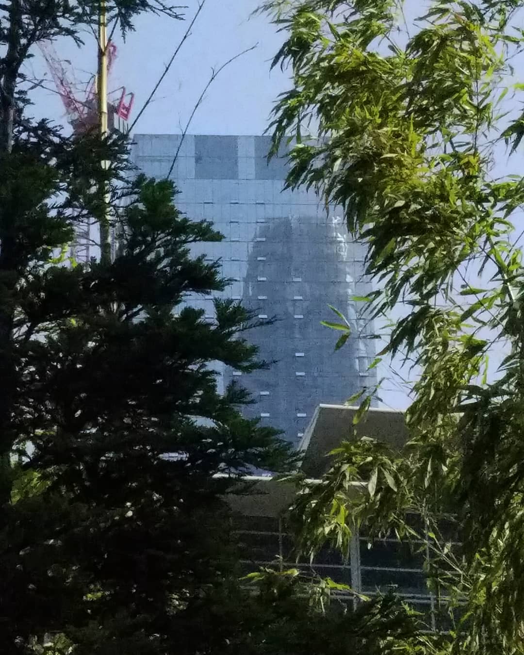 Posts from August 22, 2018