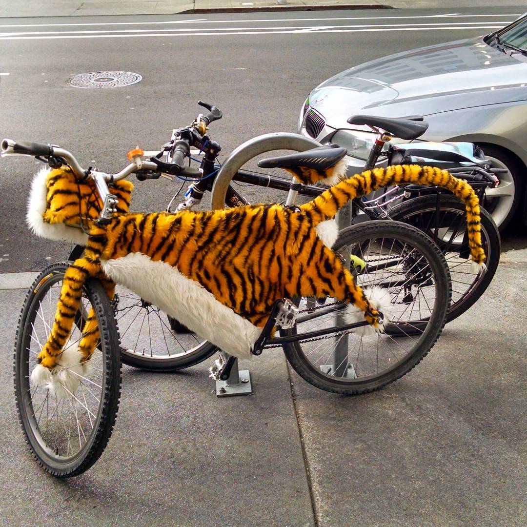 Parked next to my bike at the gym downtown Oakland.