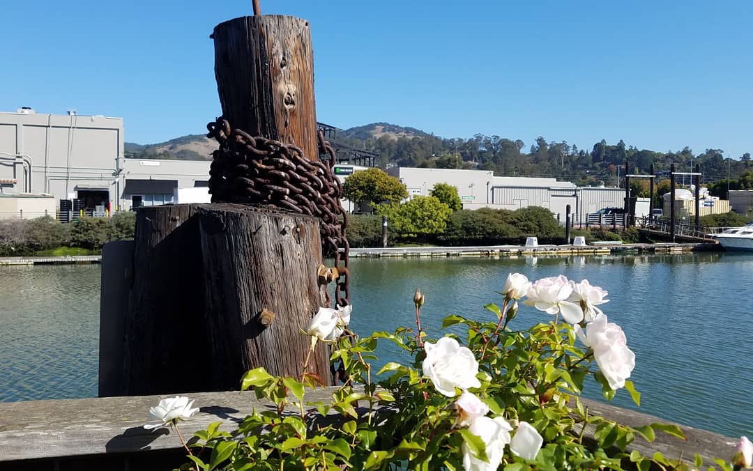 Posts from October 15, 2018